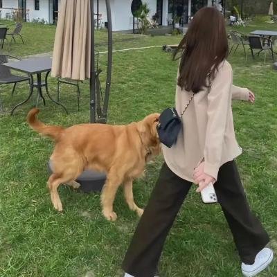 中国战役