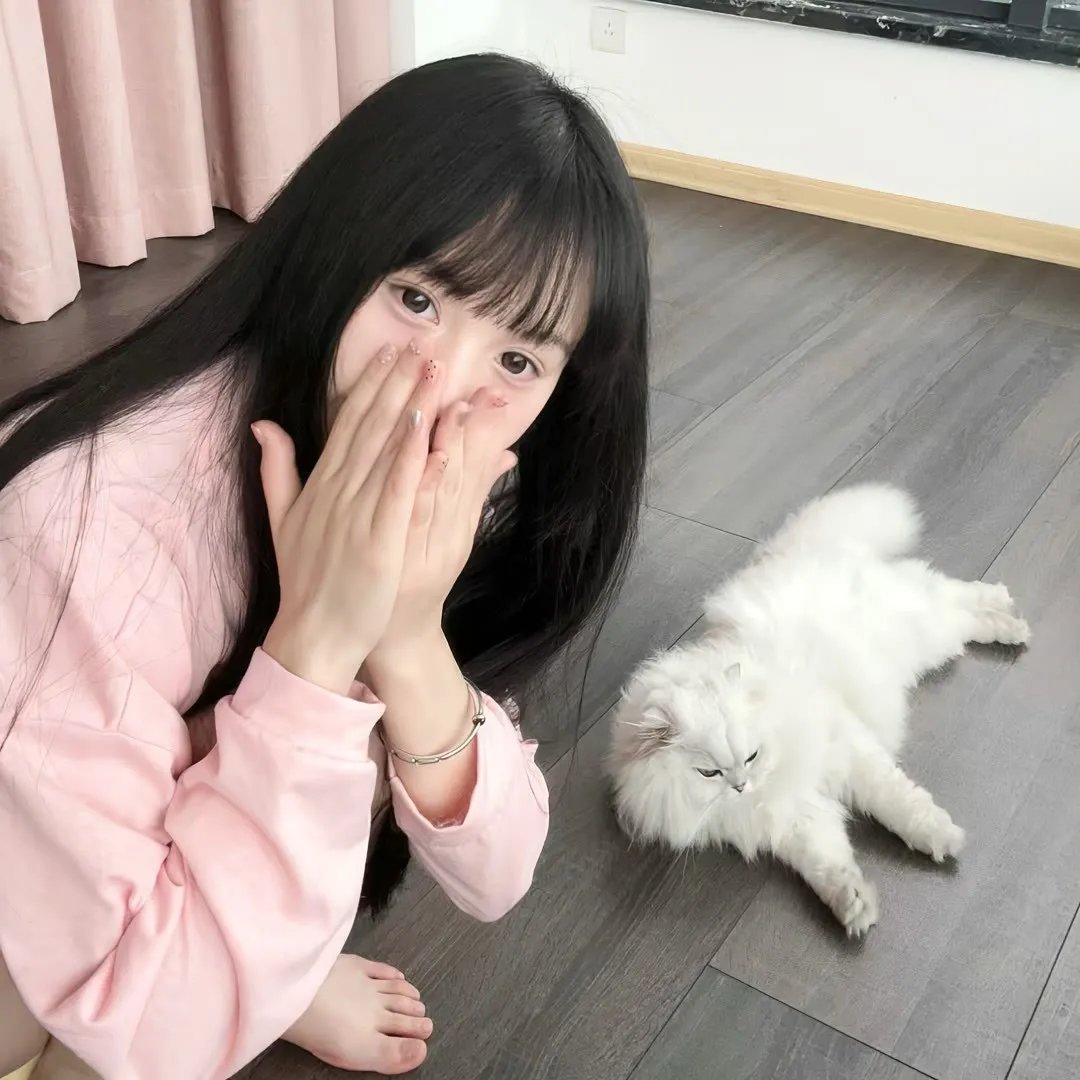 猫与苍蝇